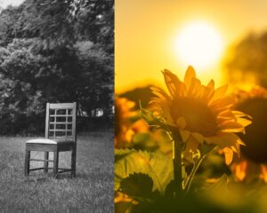 Read more about the article The 50/50 of Life: Why Both Joy and Struggle Belong